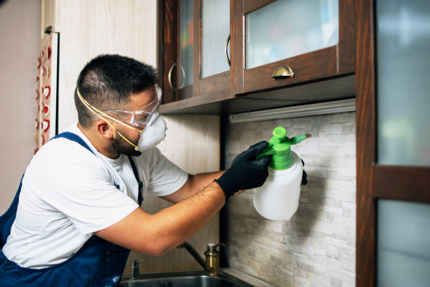 Best Commercial Pest Control Services  in Mansfield Center, CT