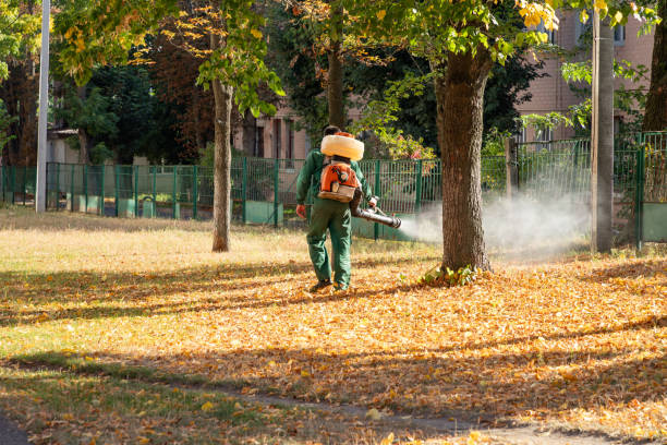 Best Flea Control Services  in Mansfield Center, CT