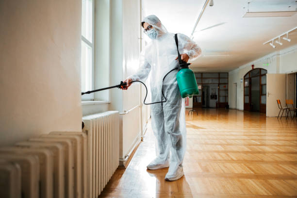 Best Best Pest Control Near Me  in Mansfield Center, CT